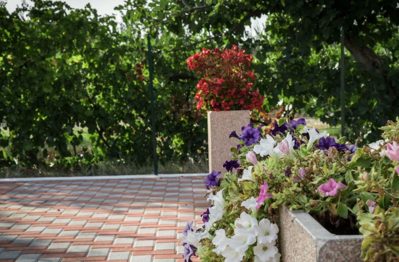 Apartamento Il Rifugio Di San Francesco Bastia Umbra Exterior foto