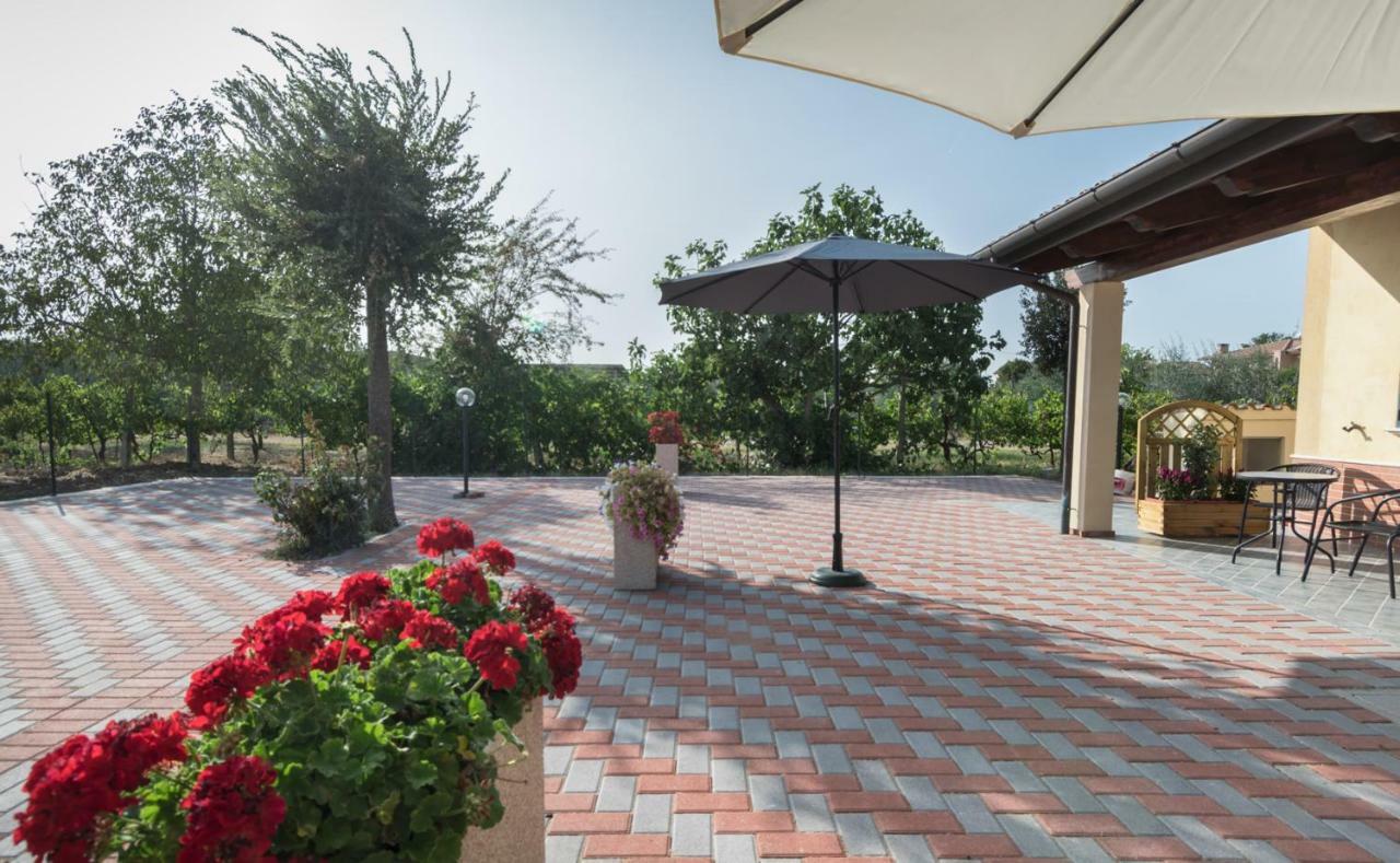 Apartamento Il Rifugio Di San Francesco Bastia Umbra Exterior foto